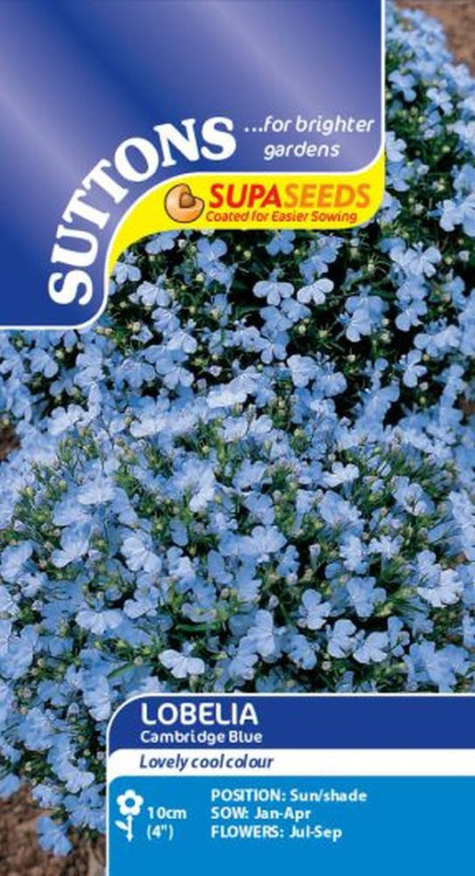 Lobelia Seeds - Cambridge Blue