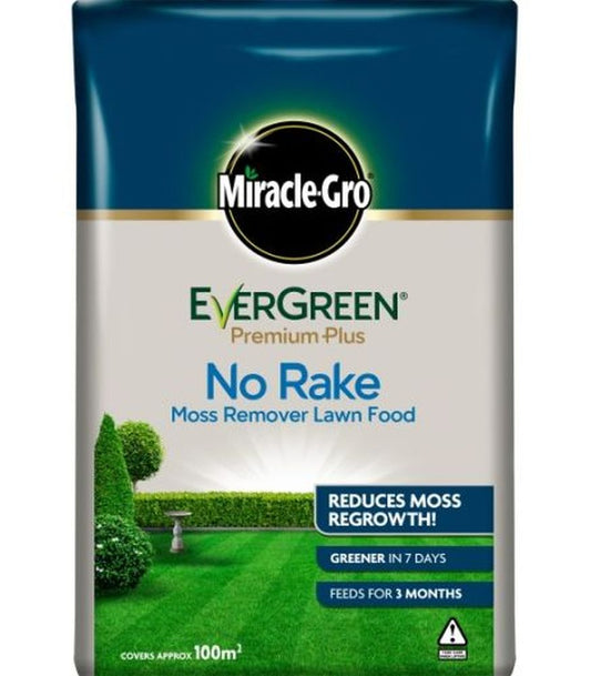 Evergreen No Moss No Rake 100m2
