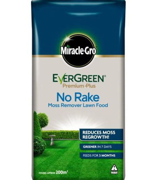 Evergreen No Moss No Rake 200m2
