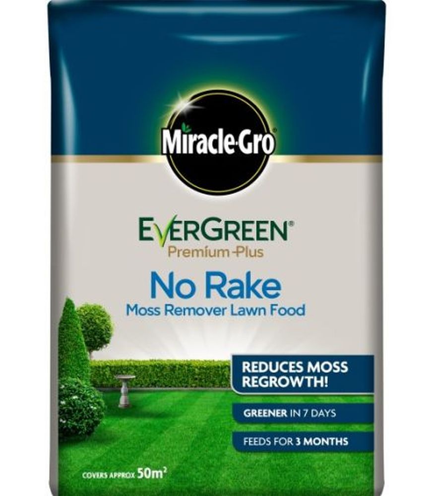 Evergreen No Moss No Rake 50m2