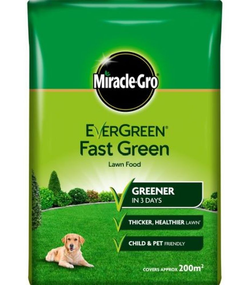 EVERGREEN EXTREME GREEN  200M BAG