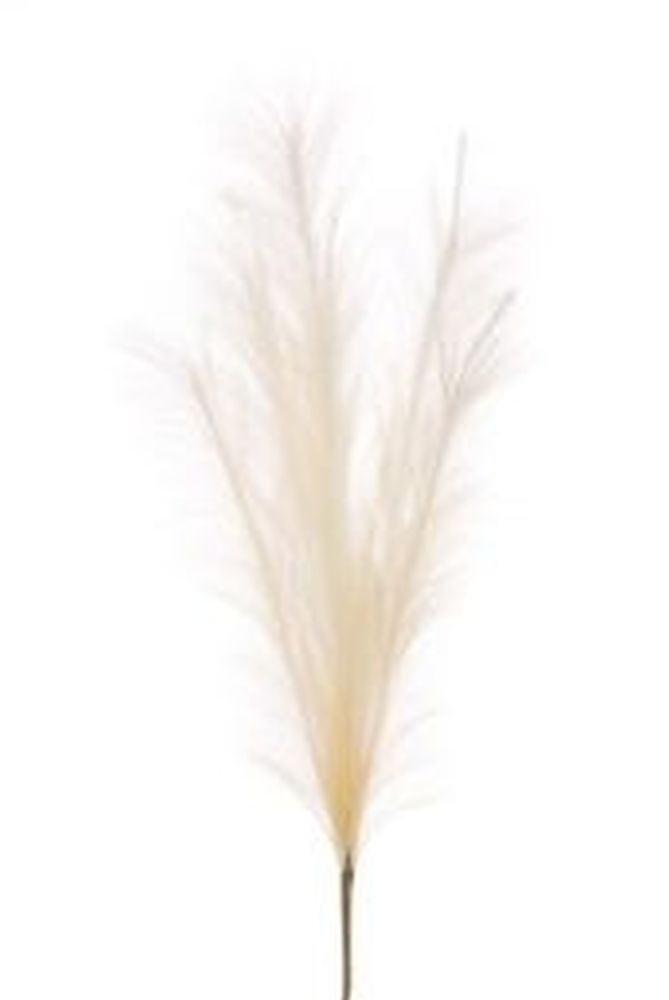 Pampas Spray 94cm
