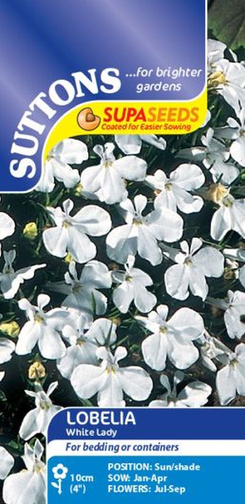 Lobelia Supacoat White Lady