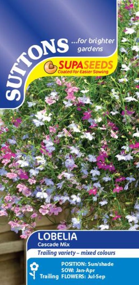 Lobelia Supacoat Cascade Mix