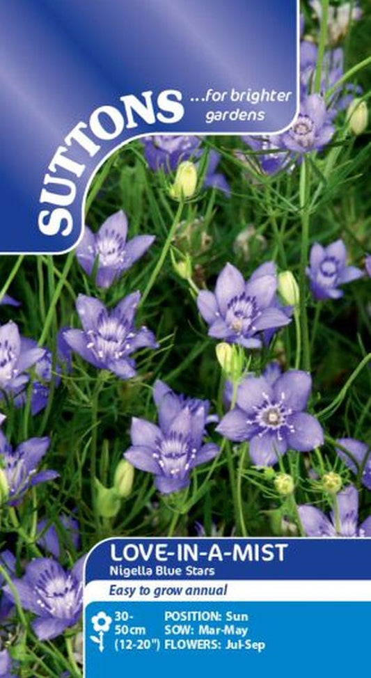 Love-In-A-Mist Nigella Blue Stars