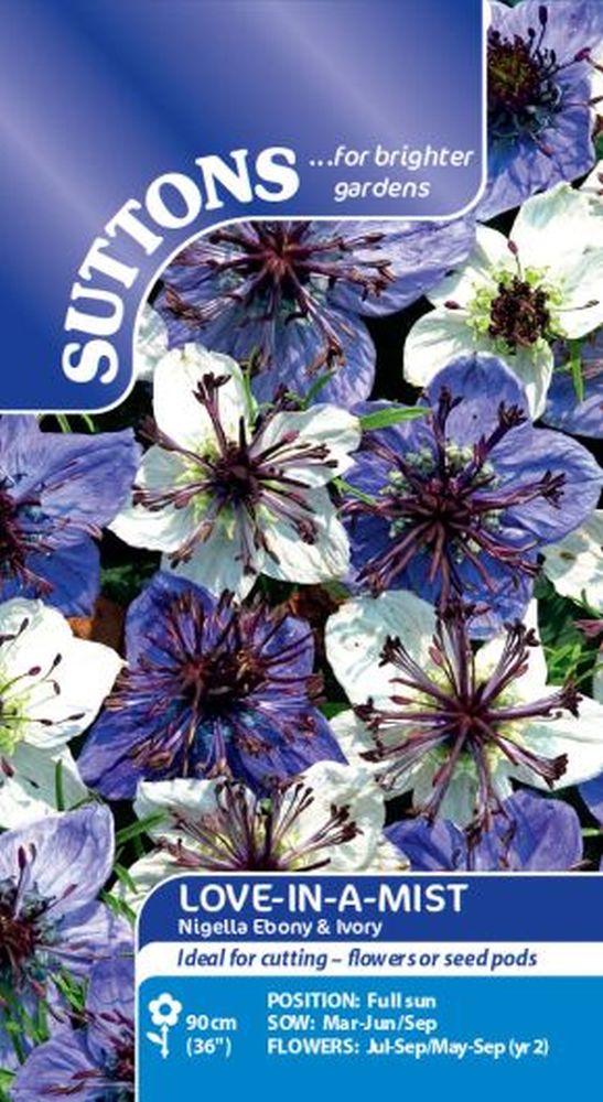 Love-In-A-Mist Nigella Ebony & Ivory