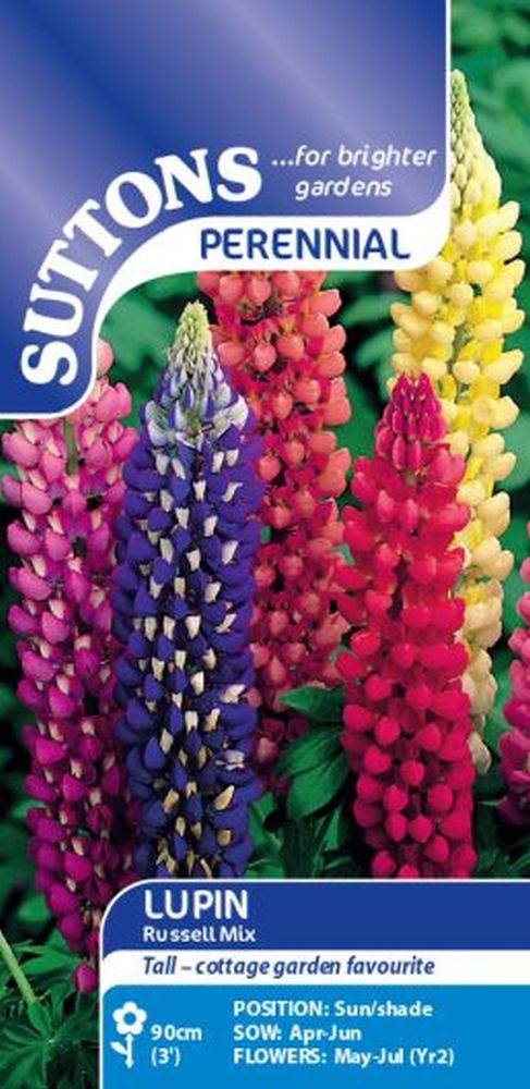 Lupin Seeds - Russell Mix