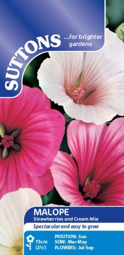 Malope Strawberries & Cream Mix