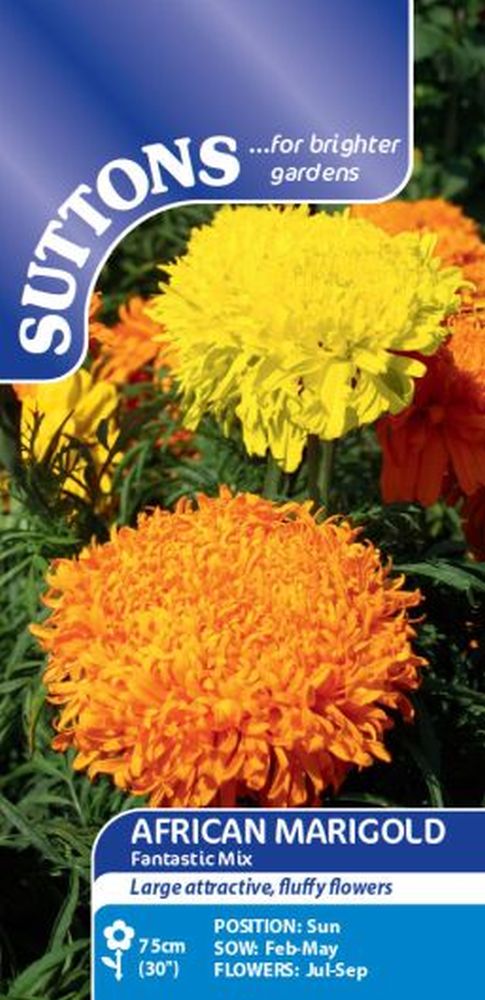African Marigold Fantastic Mix