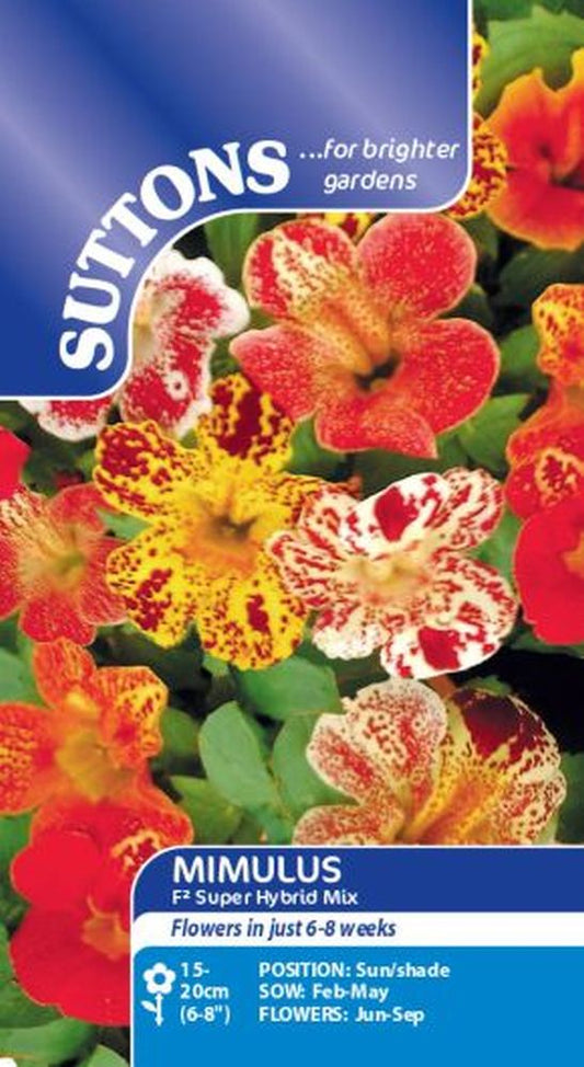 Mimulus F2 Super Hybrids