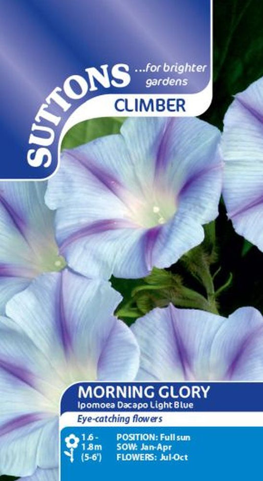 Morning Glory Light Blue