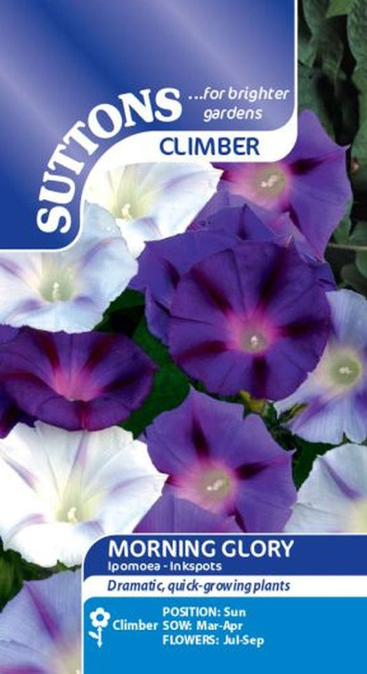 Morning Glory Inkspots