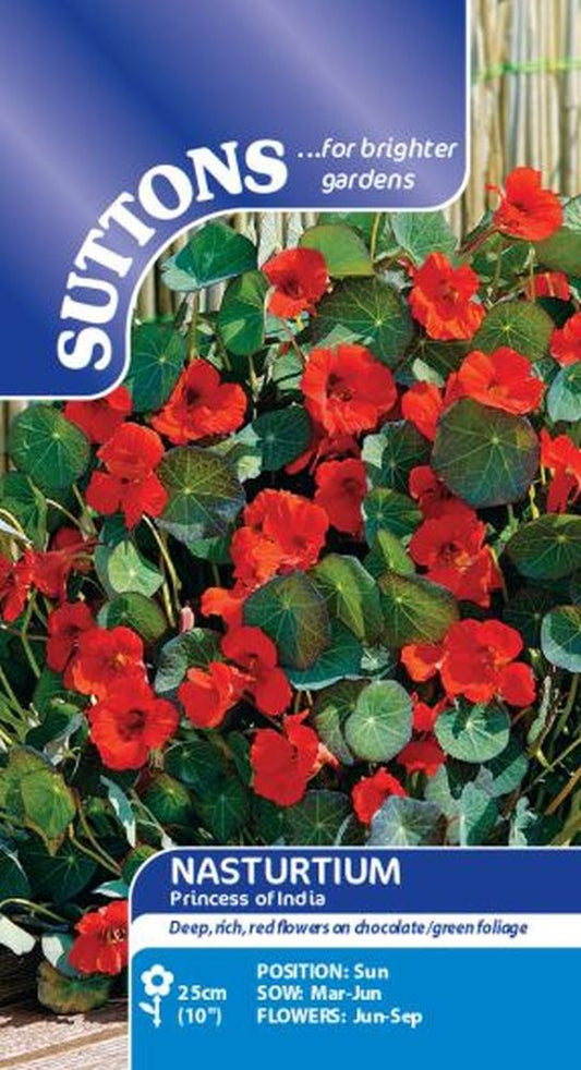 Nasturtium* Princess Of India