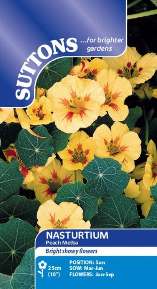 Nasturtium Seeds - Peach Melba