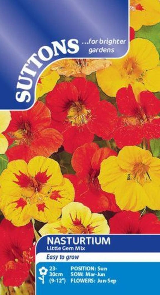 Nasturtium Gems Mixed