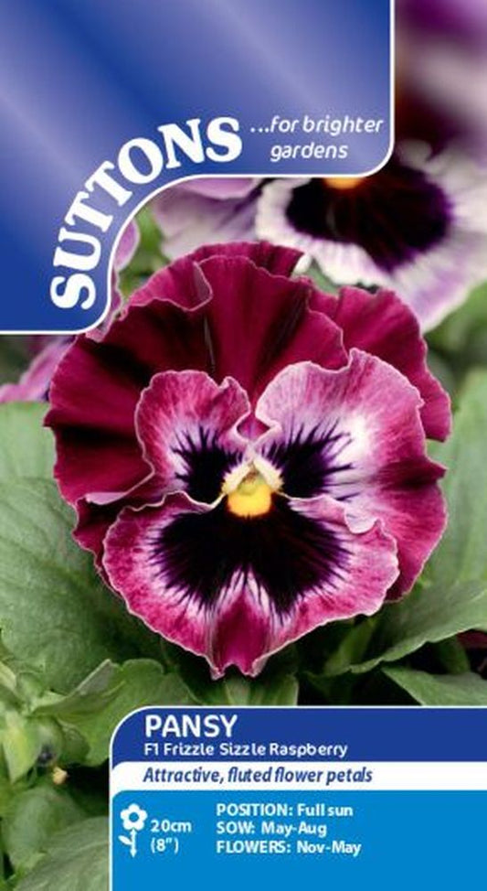 Pansy - F1 Frizzle Sizzle Raspberry