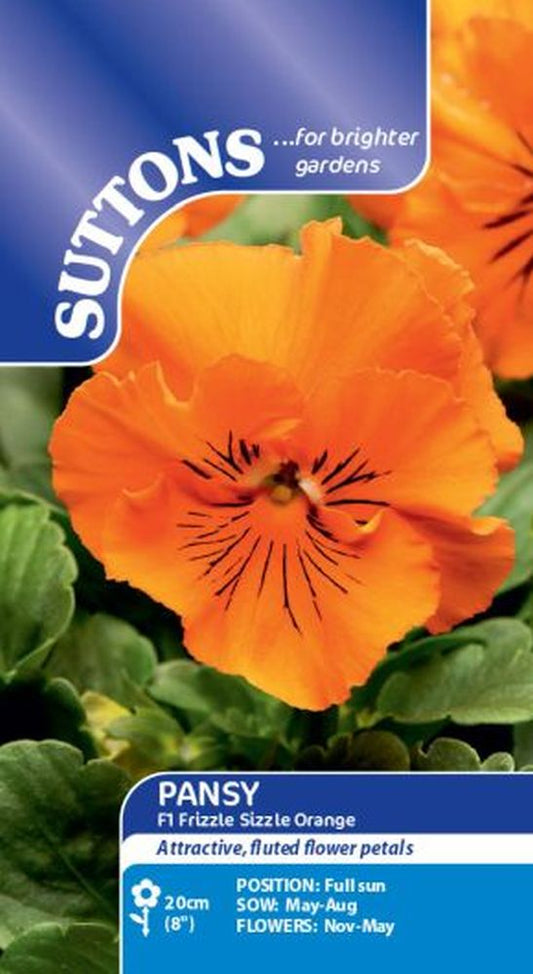 Pansy - F1 Frizzle Sizzle Orange