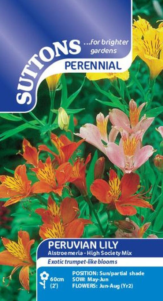 Peruvian Lily High Society Mix