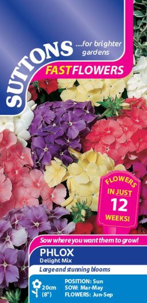 Phlox Delight Mix
