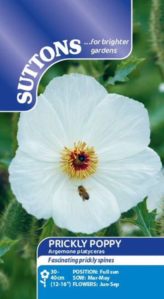 Prickly Poppy Seeds