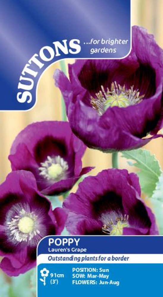 Poppy* Laurens Grape