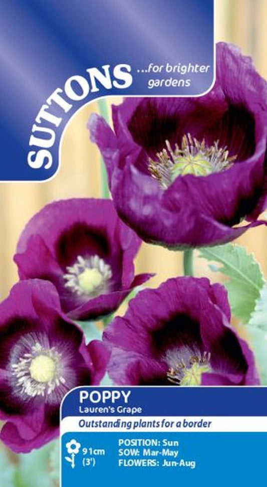 Poppy* Laurens Grape
