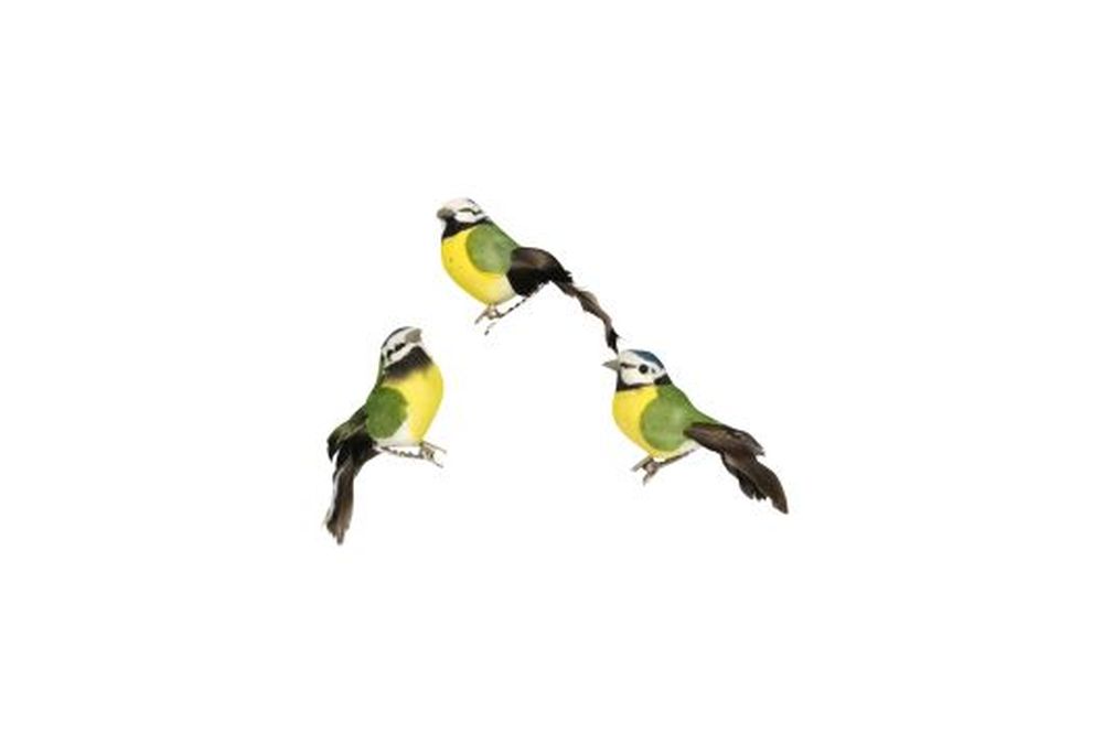 P/M Blue Tit On Clip Dec - 4cm