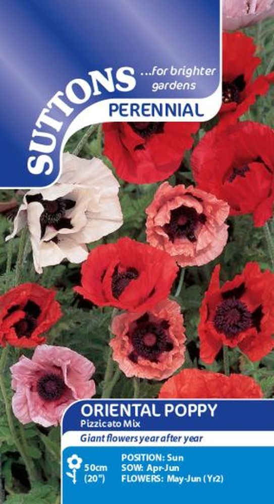 Poppy* Oriental Pizzicato Mix