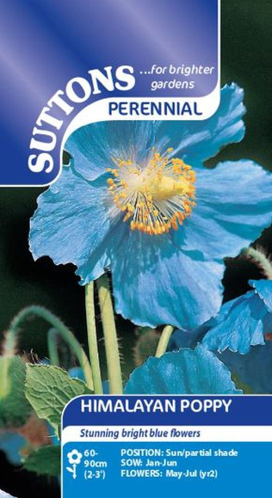 Himalayan Poppy