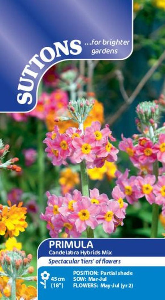 Primula Candelabra Hybrids Mix