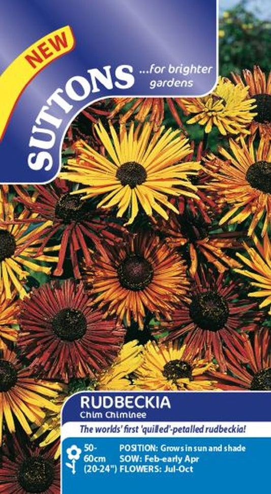 Rudbeckia Chim Chiminee