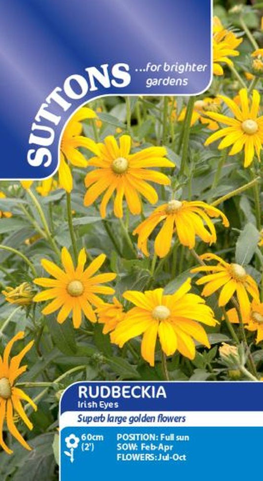 Rudbeckia Irish Eyes