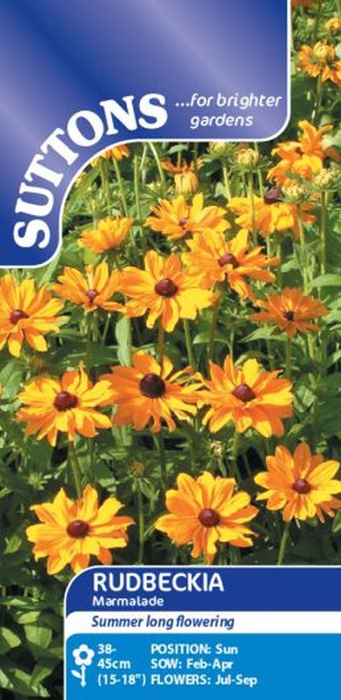 Rudbeckia Marmalade