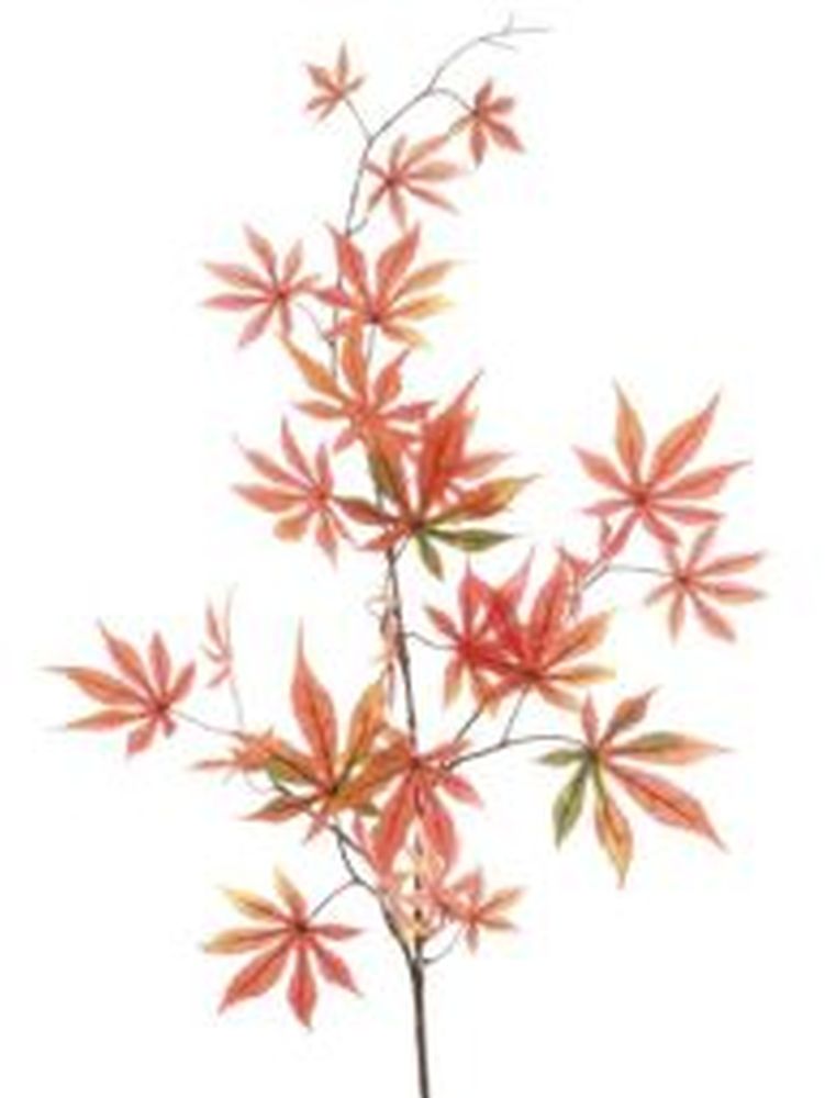 Japanese Maple Spray 100cm