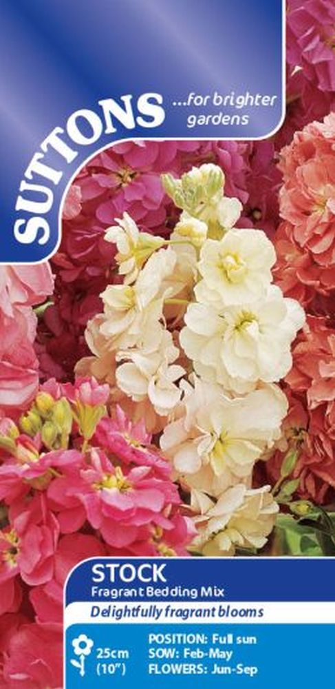 Stock Seeds - Fragrant Bedding Mix