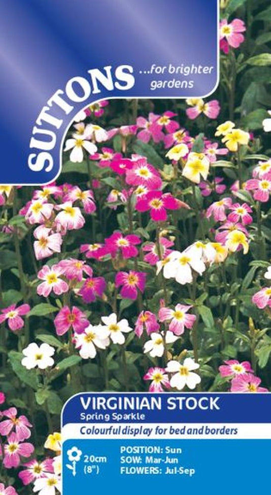 Stock Virginia Spring Sparkle