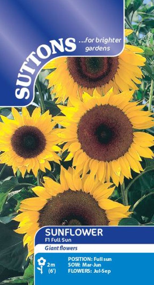Sunflower Seeds - F1 Full Sun