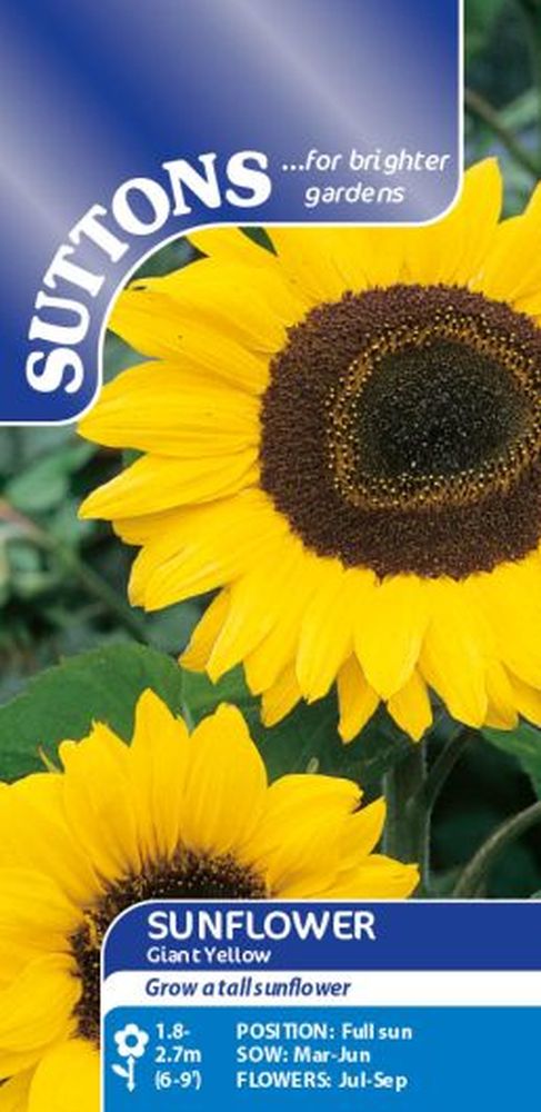 Sunflower Seeds - Giant Yellow