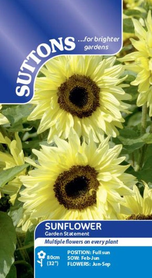 Sunflower Seeds -  Garden Statement