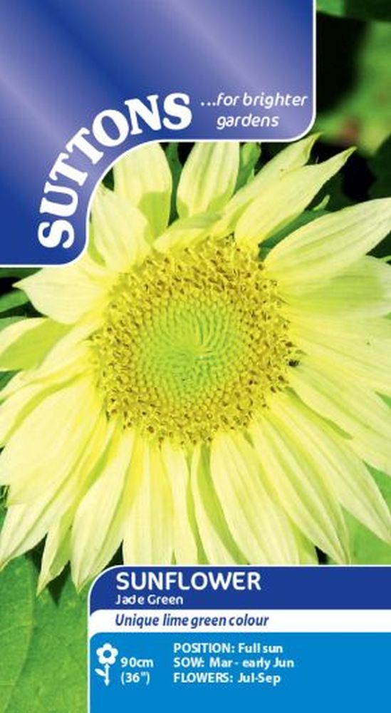 Sunflower Seeds - Jade Green