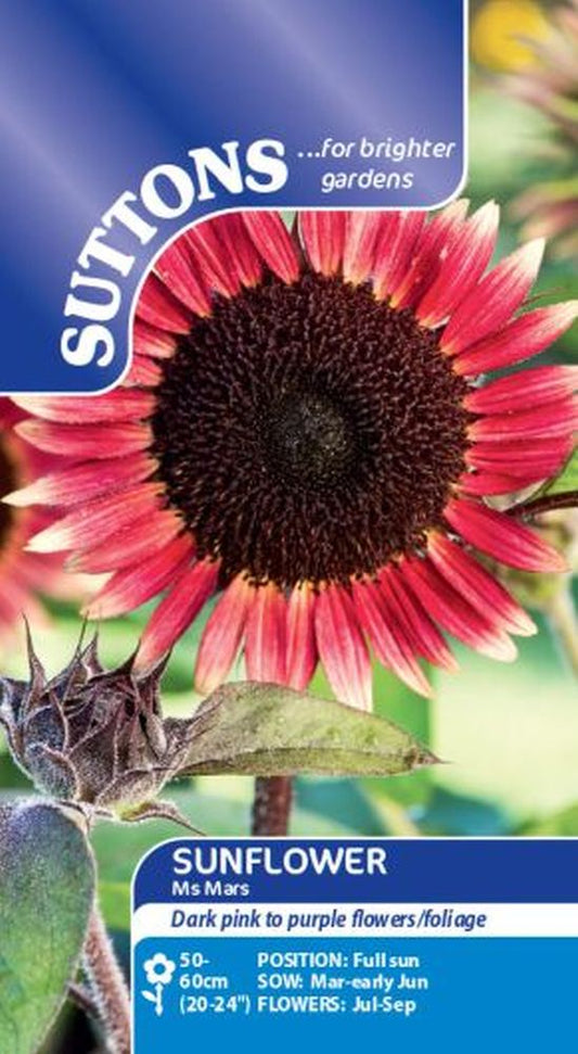 Sunflower Seeds - Ms Mars