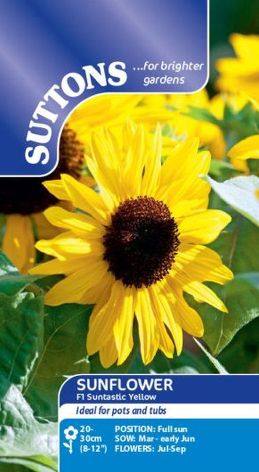 Sunflower Seeds - F1 Suntastic Yellow