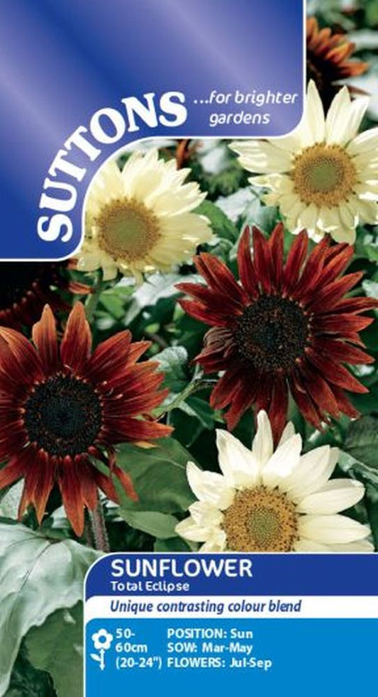 Sunflower Seeds - Total Eclipse