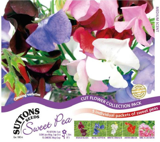 Sweet Pea Seeds - Exhibitors Collection
