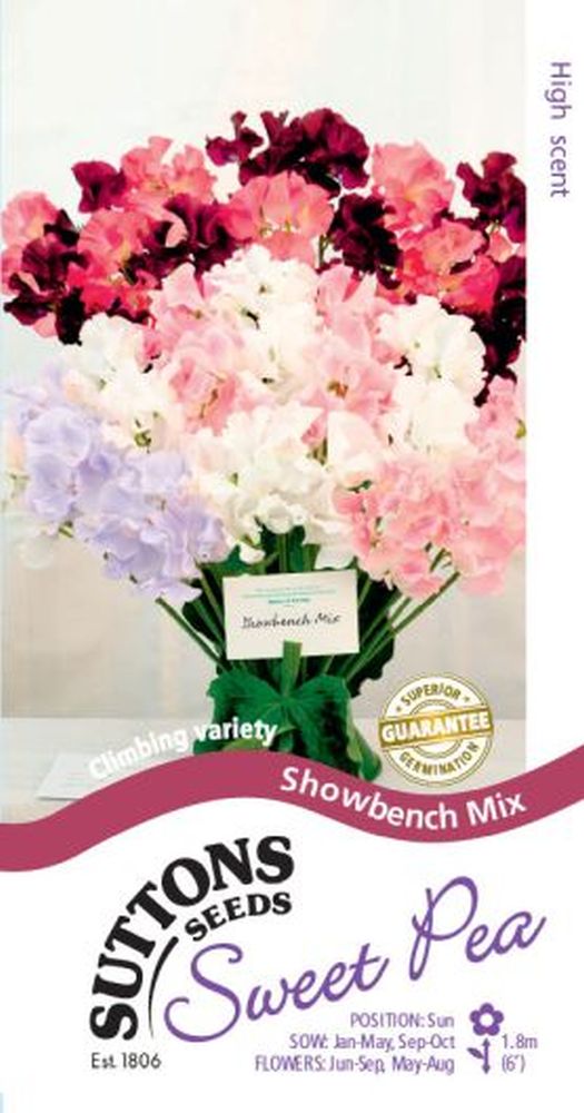 Sweet Pea  Showbench Mix