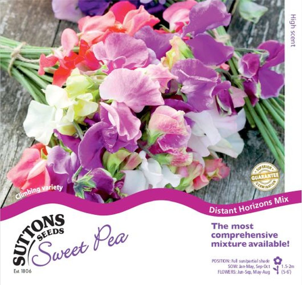 Sweet Pea Seeds - Distant Horizons