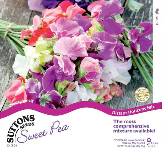 Sweet Pea Seeds - Distant Horizons