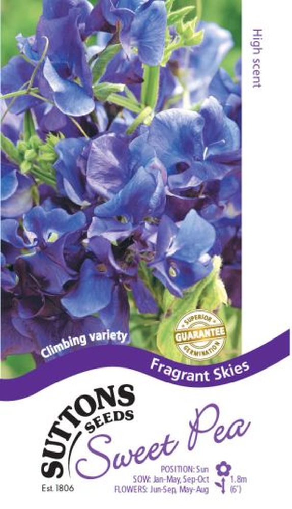 Sweet Pea Seeds - Fragrant Skies