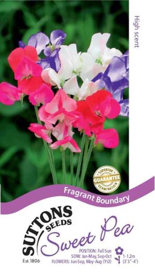 Sweet Pea Seeds - Fragrant Boundary
