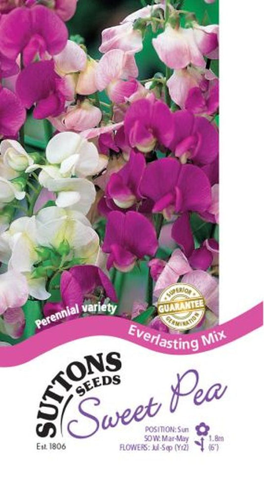 Sweet Pea Seeds - Everlasting Mix